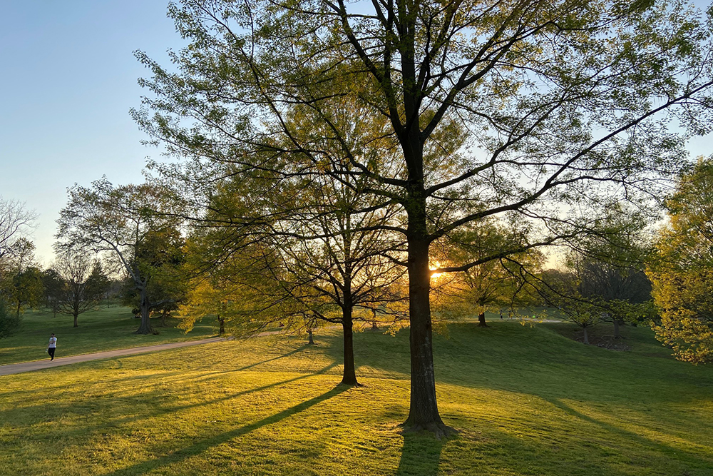 John Lewis Freedom Park - Outdoor Atlanta Staycation Idea