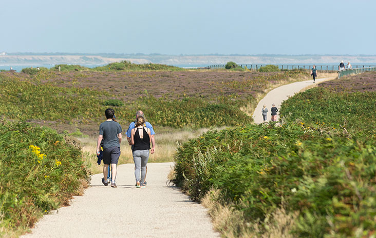 Hengistbury_Head_gge854_Low[1].jpg