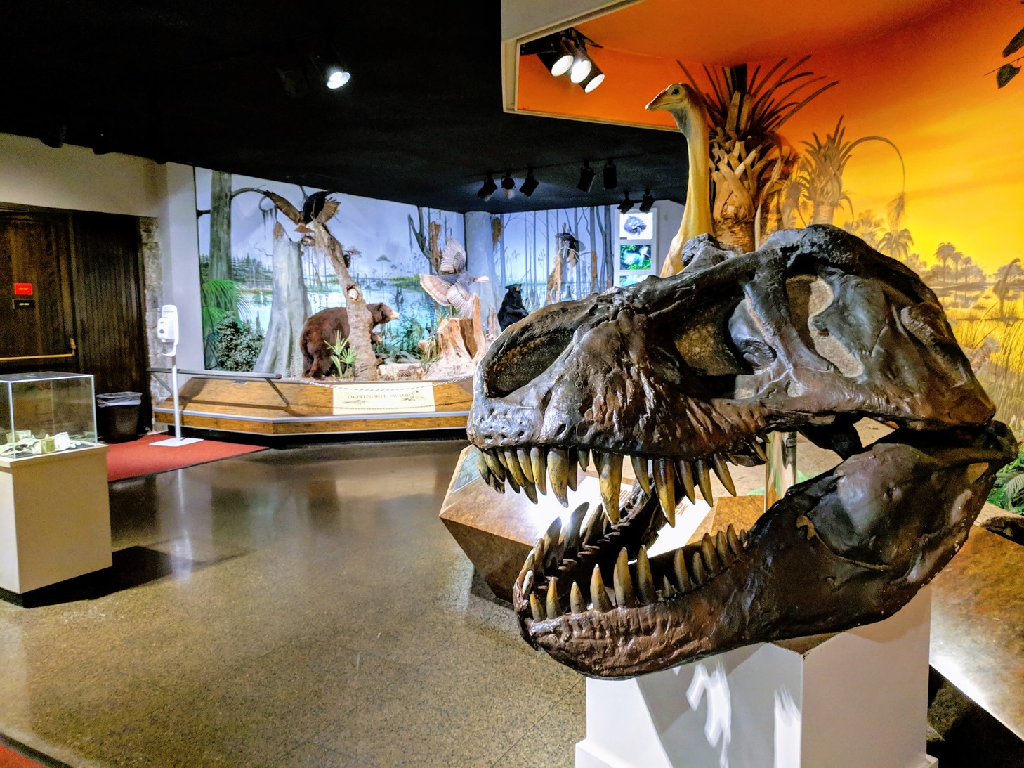 AtlantaFernbankMuseum.jpg