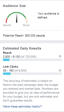 Facebook Ad Manager Audience.png