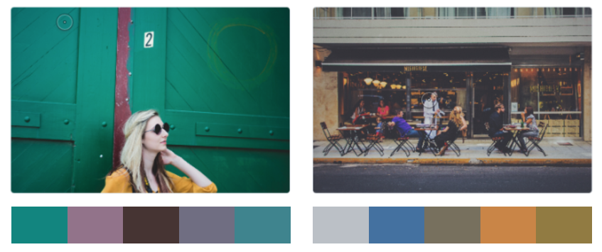 color palette.png