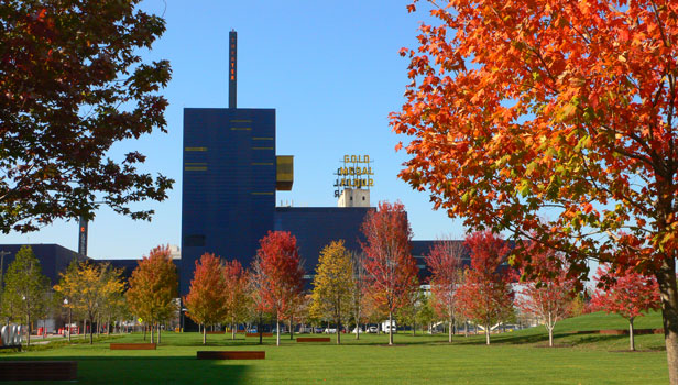 Gold Medal Park fall credit Scott Parkin.jpg