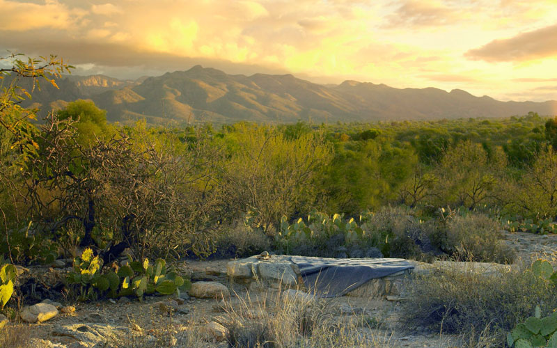 CanyonRanch-Tucson.jpg