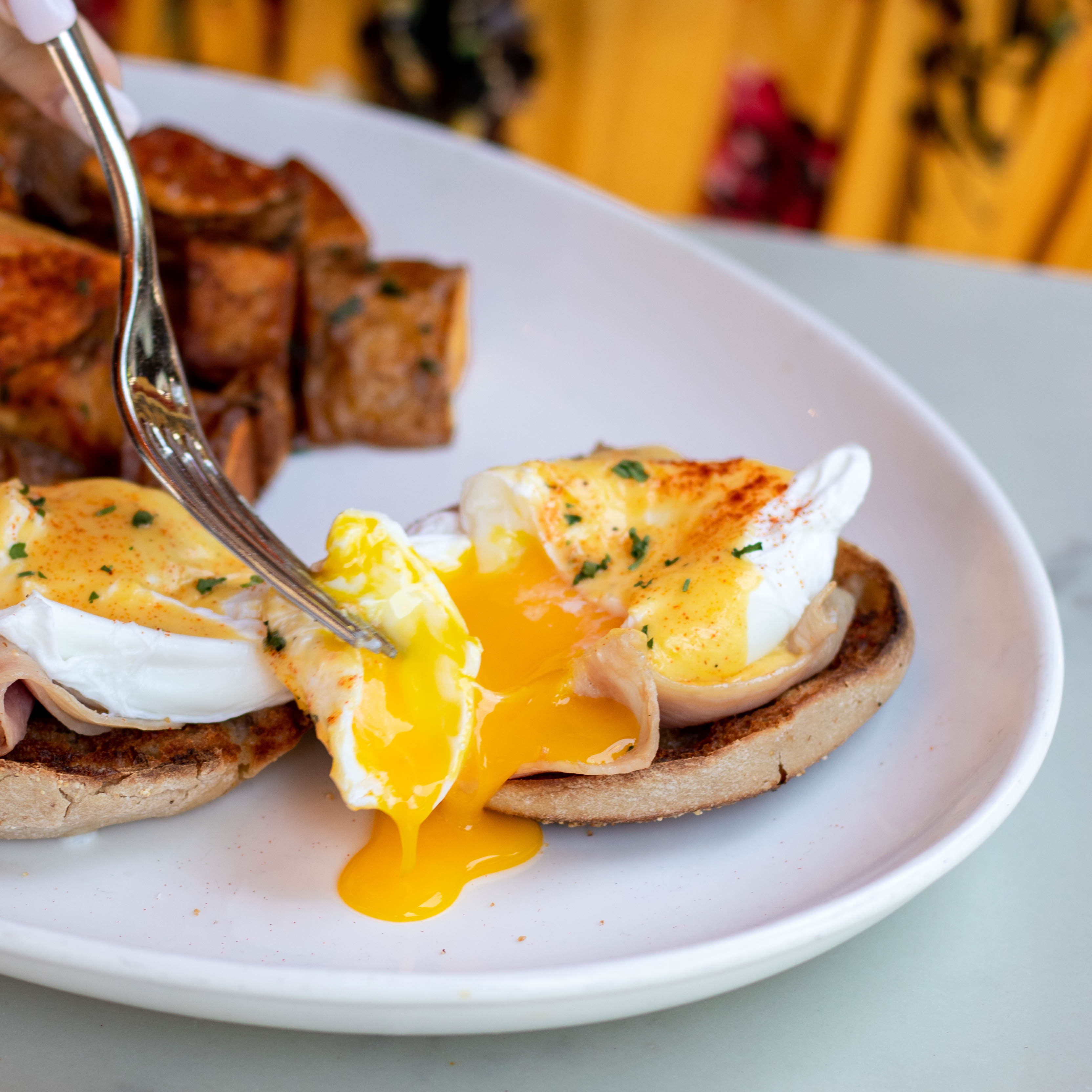 Photo Courtesy of Taverna Buckhead8.jpg