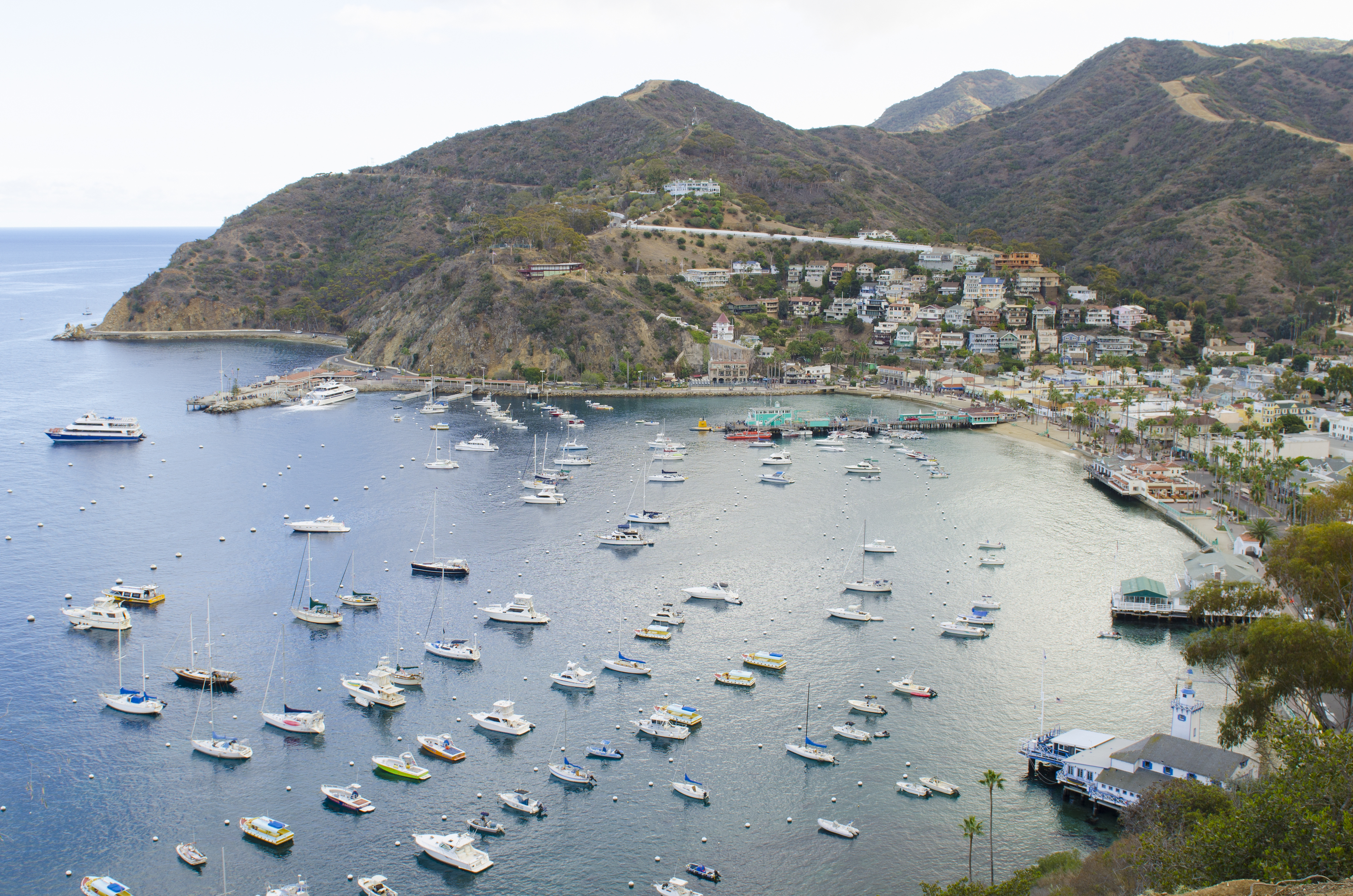 Boats in the harbor at the port of Avalon