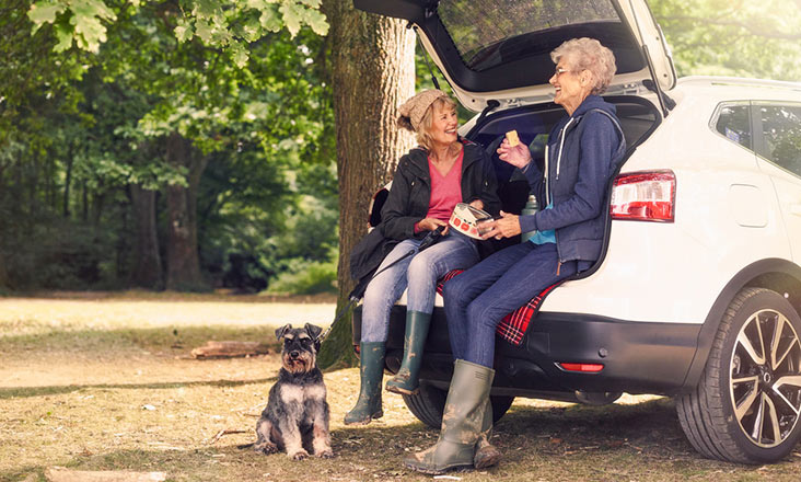 Motability Scheme customers out on a picnic with Motability Scheme car