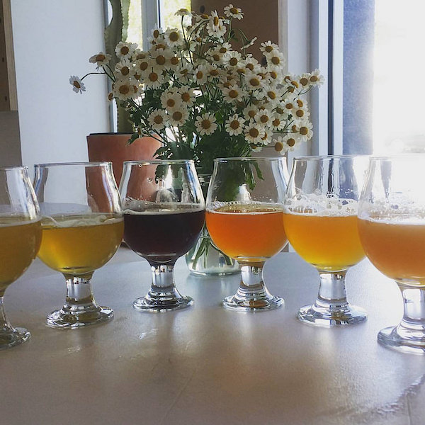 Temescal Brewing.jpg