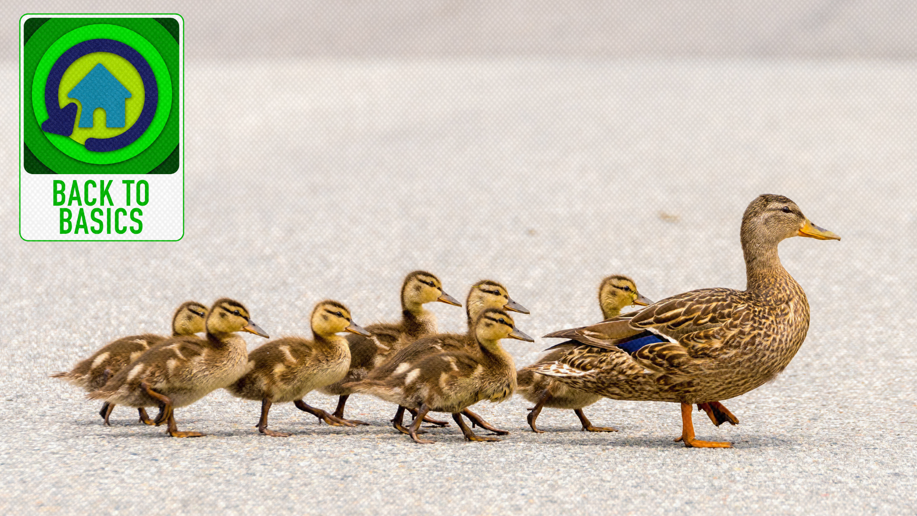 A top ERA broker shares his basics for recruiting and training