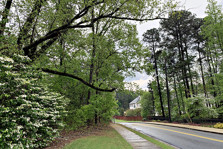 Take a Scenic Drive in Atlanta.jpg