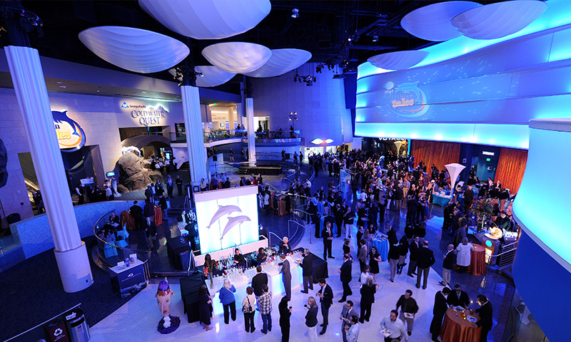Atlanta Aquarium Meetings Blog