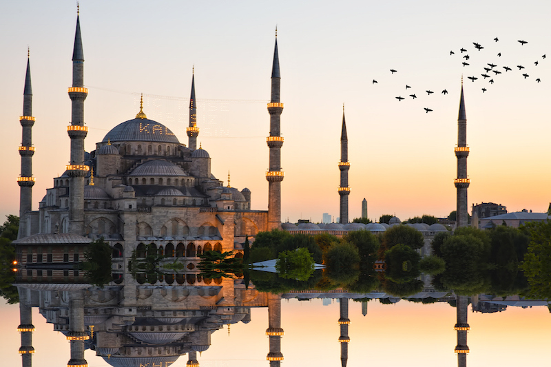 iStock-475460738.jpg