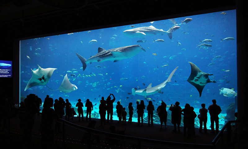 Map Of Atlanta Hotels And Attractions On A Atlanta Map