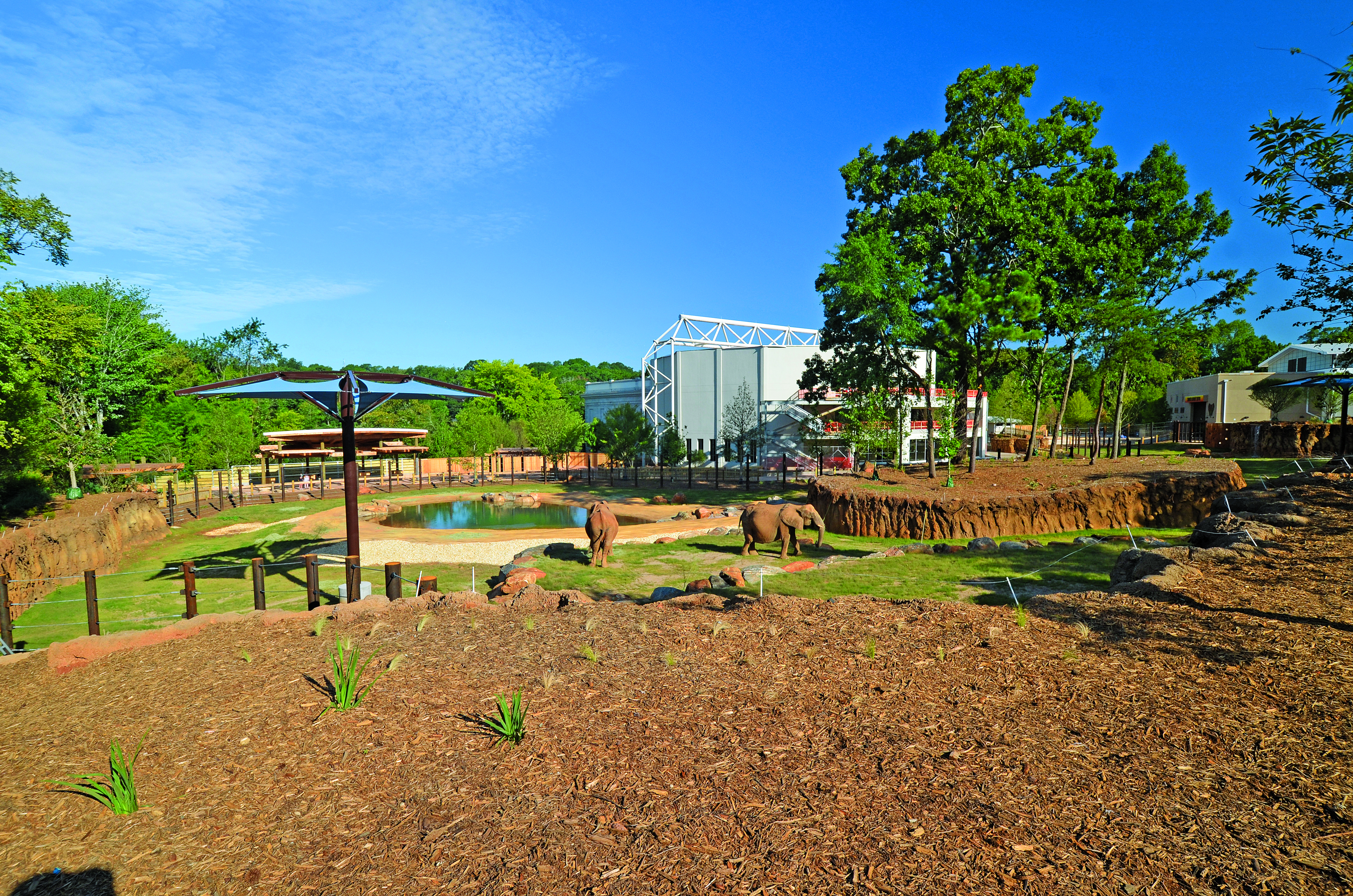 2019.08.08_8759 Photo Credit-Scott White_cc.jpg