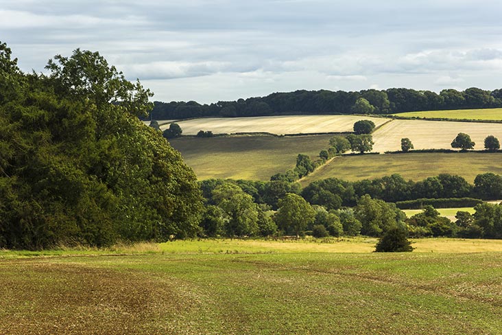 British countryside