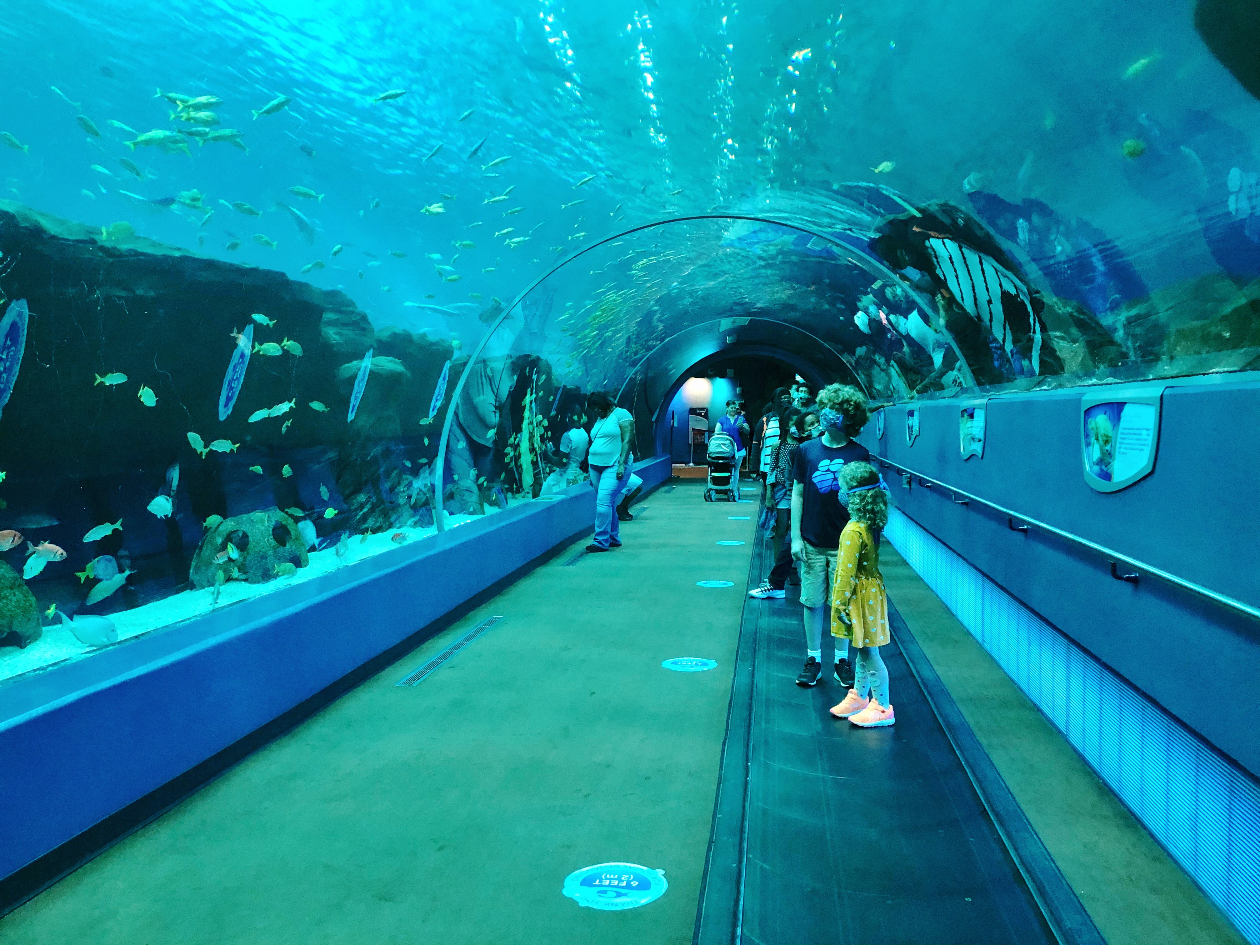 Save on Atlanta Experiences with CityPASS - Georgia Aquarium & More