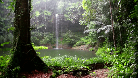 giphy (6).gif