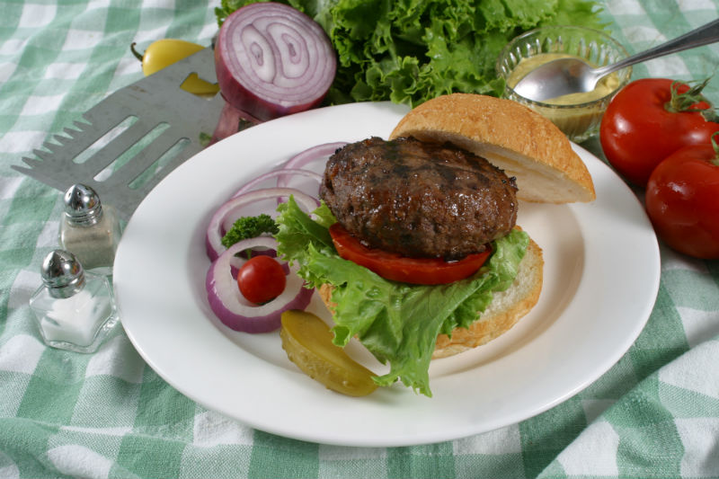 Elk burger.jpg