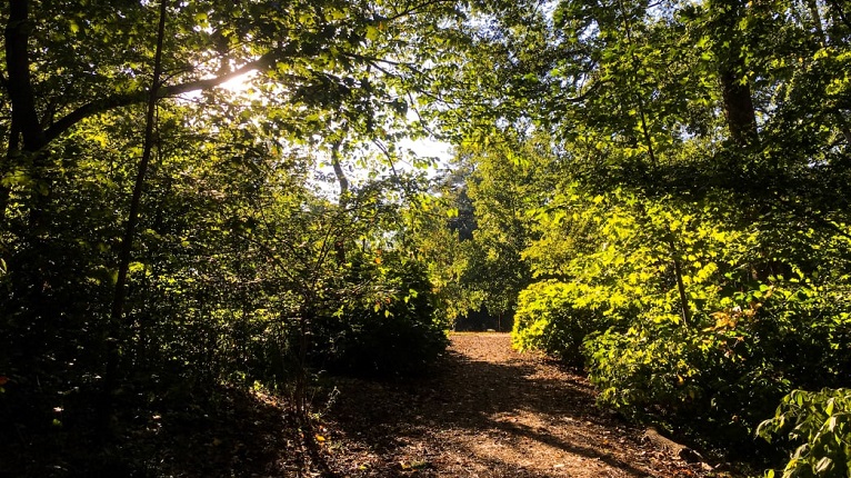 Olmsted Linear Park Trails in Eastside Atlanta