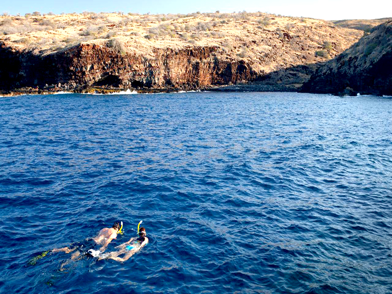 lanai2.jpg