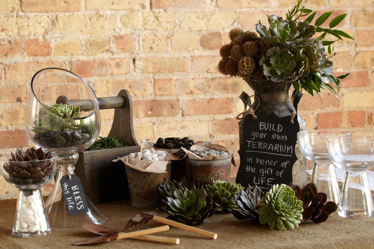 favort board - terrarium.jpg
